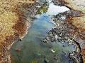 सांडपाण्याचा निचरा होत नसल्याने घाणीचे साम्राज्य - Marathi News | Due to no drainage drainage, the empire's empire | Latest nashik News at Lokmat.com