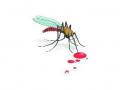 डेंग्यूसदृश आजाराने महिलेचा मृत्यू - Marathi News | Dengue-infected woman's death | Latest nashik News at Lokmat.com