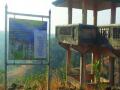 जव्हारला होणार ग्रीन हिल सिटी! - Marathi News | Green Hill City to be held in Jawhar | Latest maharashtra News at Lokmat.com