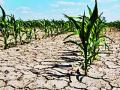 ..तर दुष्काळसुद्धा इष्टापत्ती ठरेल! - Marathi News | ..and the drought will be a surprise! | Latest editorial News at Lokmat.com