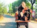 अवैध वृक्षतोड जोमात - Marathi News | Invalid tree plantation | Latest buldhana News at Lokmat.com