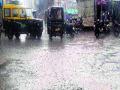 अवकाळी पावसाने रब्बीचे नुकसान - Marathi News | Rare disaster caused by rainy season | Latest buldhana News at Lokmat.com