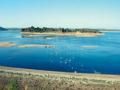 पेंचचा जलस्तर खालावला - Marathi News | The water level of the screw decreased | Latest nagpur News at Lokmat.com