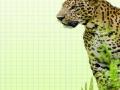 आणखी एक बिबट्या जेरबंद - Marathi News | Another leopard | Latest pune News at Lokmat.com