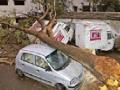वादळाचा धिं गा णा - Marathi News | Thunderstorm | Latest nagpur News at Lokmat.com