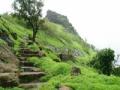 निसर्गयात्रींनी केला राजमाची गडाचा अभ्यास - Marathi News | Rajmachi Fort study by the naturalists took place | Latest mumbai News at Lokmat.com