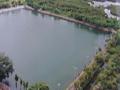 नेरूळच्या तीन तरुणांचा बुडून मृत्यू - Marathi News | Three young men of Nerul die drowning | Latest mumbai News at Lokmat.com