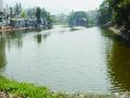 तलावांच्या शहरात ‘तलाव’च एकाकी! - Marathi News | Loneliness alone in the lake! | Latest mumbai News at Lokmat.com