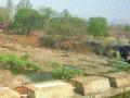 शेतकऱ्यांना लागली कर्जफेडीची चिंता - Marathi News | Farmers worry about debts | Latest raigad News at Lokmat.com