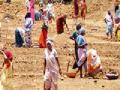 रोजगाराची हमी, कामे कमी - Marathi News | Employment Guarantee, Decrease Work | Latest bhandara News at Lokmat.com
