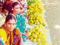कलेक्टरसह विविध प्रजातीच्या आंब्यांची आवक वाढली - Marathi News | Various varieties of mangoes along with collector increased inward | Latest gadchiroli News at Lokmat.com