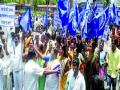 गोवंश हत्याबंदी कायदा रद्द करा - Marathi News | Cancel the Cattle Breeding Act | Latest maharashtra News at Lokmat.com