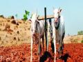 शेतकरी, कृषी विभाग खरिपासाठी सज्ज - Marathi News | Farmers, Agriculture Department ready for Kharif | Latest pune News at Lokmat.com