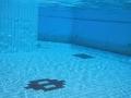 पालिकेच्या तलावाला ठेकेदाराचे नाव - Marathi News | The name of the contractor for the municipal pool | Latest pune News at Lokmat.com