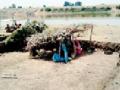 २३ हेक्टरचा तलाव उरला ७.३१ हेक्टरचा - Marathi News | 23 hectare lake remains 7.31 hectare | Latest bhandara News at Lokmat.com