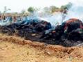 तणसाच्या ढिगाऱ्याला आग... - Marathi News | A fire to a weed garbage ... | Latest chandrapur News at Lokmat.com