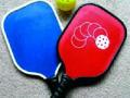 राष्ट्रीय पिकलबॉलसाठी मुंबई सज्ज - Marathi News | Mumbai ready for national pickball | Latest other-sports News at Lokmat.com