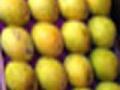 मंचरला थेट बांधावरच आंब्याची खरेदी! - Marathi News | Buy mangoes directly on Manarra | Latest pune News at Lokmat.com
