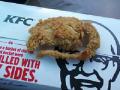 अरेरे... केएफसीने फ्राय चिकनऐवजी दिले फ्राय उंदीर ? - Marathi News | Oops ... KFC replaces fry chicken instead of fry mice? | Latest jarahatke News at Lokmat.com