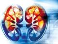 ‘सुपर’मध्ये किडनी ट्रान्सप्लांट! - Marathi News | Kidney transplant in super! | Latest nagpur News at Lokmat.com