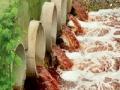 मद्य कारखान्याने सुखना धरणात कालवले विष! - Marathi News | Wine factory toxic poison in Sukna dam! | Latest maharashtra News at Lokmat.com