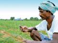 शेतकऱ्यांना ‘किसान एसएमएस’ योजनेचा लाभ - Marathi News | Benefits of 'Kisan SMS' scheme for farmers | Latest amravati News at Lokmat.com