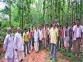 150 वर्षानी मिळालं जंगलावरचं ‘स्वराज्य’! - Marathi News | 150 years old 'Swarajya' of the forest! | Latest manthan News at Lokmat.com