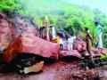 कुडपण रस्त्यावर दरड कोसळली - Marathi News | A rift on the horrific road collapsed | Latest mumbai News at Lokmat.com