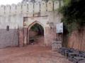 माणिकगड किल्ला पर्यटकांच्या दृष्टीने कात टाकतोयं - Marathi News | Take a look at the Manikgad fort for tourists | Latest chandrapur News at Lokmat.com