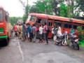 बस फसली : - Marathi News | Just cropped up: | Latest gadchiroli News at Lokmat.com