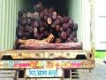 तीन कोटींचे रक्तचंदन जप्त - Marathi News | Three crores of bloodchain seized | Latest raigad News at Lokmat.com