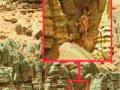 मंगळ ग्रहावर खेकडा दिसल्याचा दावा - Marathi News | Claims of a crab on Mars | Latest international News at Lokmat.com