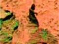 मंगळ ग्रहावर महिला दिसल्याचा दावा - Marathi News | Claims of women on Mars | Latest international News at Lokmat.com