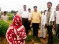 आमदारांची दुष्काळग्रस्त भागाला भेट - Marathi News | Visit to the drought-affected areas of the MLAs | Latest gadchiroli News at Lokmat.com