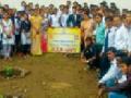 पर्यावरण संवर्धनासाठी ‘जेडीआयईटी’चा पुढाकार - Marathi News | 'Jedi' initiative for environmental conservation | Latest yavatmal News at Lokmat.com