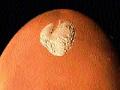 मंगळावर आढळला बर्फाचा मोठा तुकडा - Marathi News | Snowflake found on Mars | Latest international News at Lokmat.com