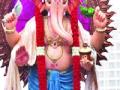बाप्पा मोरया रे - Marathi News | Bappa Moriah Ray | Latest navi-mumbai News at Lokmat.com
