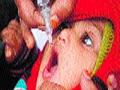 नायजेरिया पोलिओग्रस्त देश नसल्याची घोषणा - Marathi News | Nigeria declares not a polio affected country | Latest international News at Lokmat.com