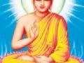 गौतम बुद्धांच्या पवित्र अस्थी भारतात येणार - Marathi News | The holy bone of Gautama Buddha will come to India | Latest nagpur News at Lokmat.com