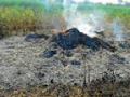 सोयाबीनला आग: - Marathi News | Soya bean fire: | Latest yavatmal News at Lokmat.com