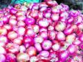 कांद्याच्या भावात घट - Marathi News | Decrease in onion prices | Latest nashik News at Lokmat.com