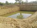 शेततळ्यातील पाण्यातून केली रोवणी - Marathi News | Rann of water from the farmland | Latest bhandara News at Lokmat.com
