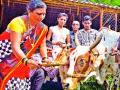 गोधनाचे पारंपरिक पूजन उत्साहात - Marathi News | Traditional worship of Goddess | Latest nashik News at Lokmat.com