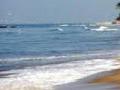 किनारपट्टीवरील पाच कोटी लोकांचे जीवन धोक्यात? - Marathi News | Five billion people in the coastal life risk? | Latest international News at Lokmat.com