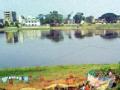 ऐतिहासिक तलावाची वाट लागली : - Marathi News | A historic lake was set up: | Latest bhandara News at Lokmat.com
