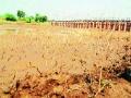 शेतकऱ्याला प्रतीक्षा सिंचनाच्या पाण्याची - Marathi News | Waiting for the farmer to irrigate the water | Latest raigad News at Lokmat.com