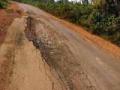 सावली तालुक्यातील रस्त्यांची दुरवस्था - Marathi News | Road shade in Shawli taluka | Latest chandrapur News at Lokmat.com