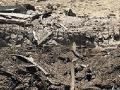 अफगाण लष्कर आणि दहशतवाद्यांमध्ये चकमक, ८ ठार - Marathi News | Afghan army and militants fire, 8 killed | Latest international News at Lokmat.com