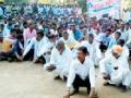 कुरखेडा एसडीओ कार्यालयावर धडकले शेकडो शेतकरी - Marathi News | Hundreds of farmers farmed in Kurkheda SDO office | Latest gadchiroli News at Lokmat.com