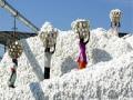 ४१ लाख क्विंटल कापूस विकला व्यापाऱ्यांना - Marathi News | 41 lakh quintals of cotton traded | Latest business News at Lokmat.com